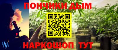 мдпв Гатчина
