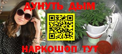 мдпв Гатчина
