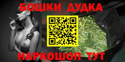 мдпв Гатчина