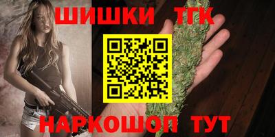 мдпв Гатчина