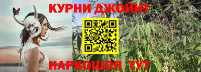 мдпв Гатчина