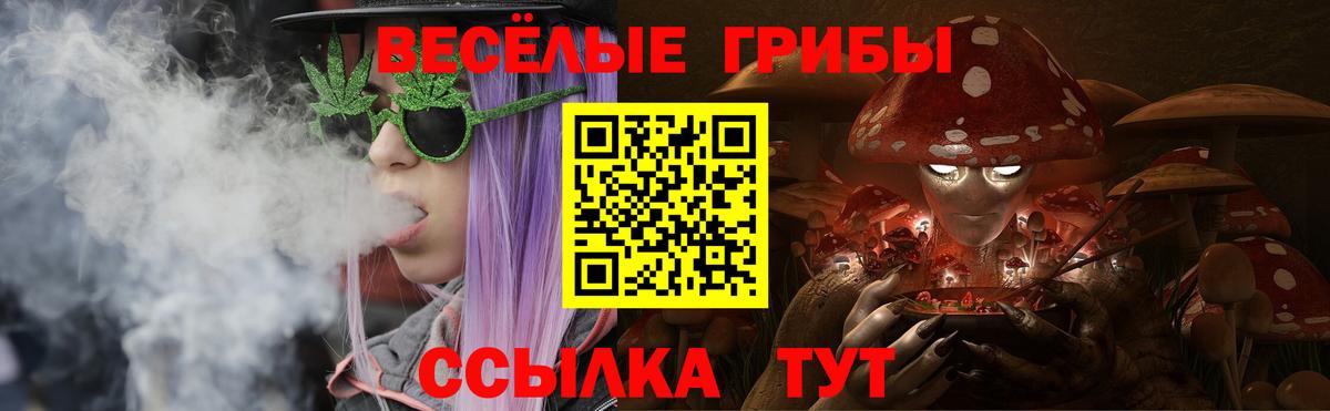 Псилоцибиновые грибы GOLDEN TEACHER  Вход с VPN  Семёнов  Галлюциногенные грибы MAGIC MUSHROOMS 